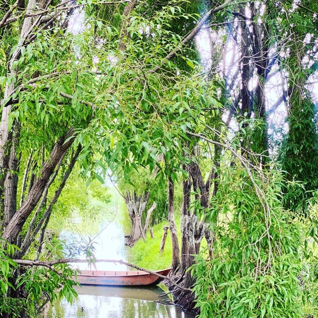 Horse Riding, Tea experience and Wetlands 