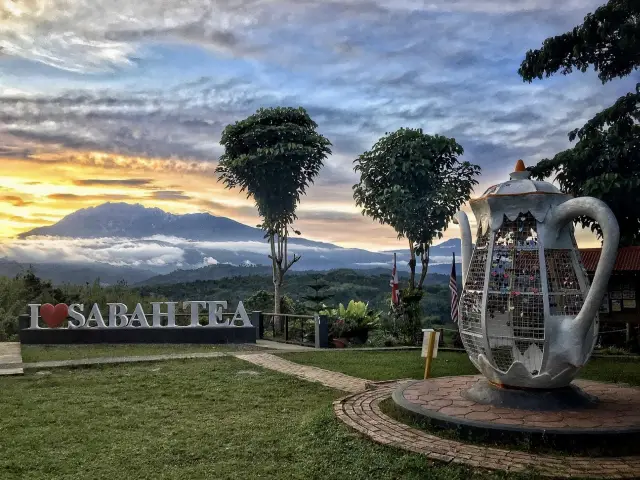 Sabah Tea Garden - Borneo, Malaysia