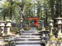 世界文化遺產日本春日大社