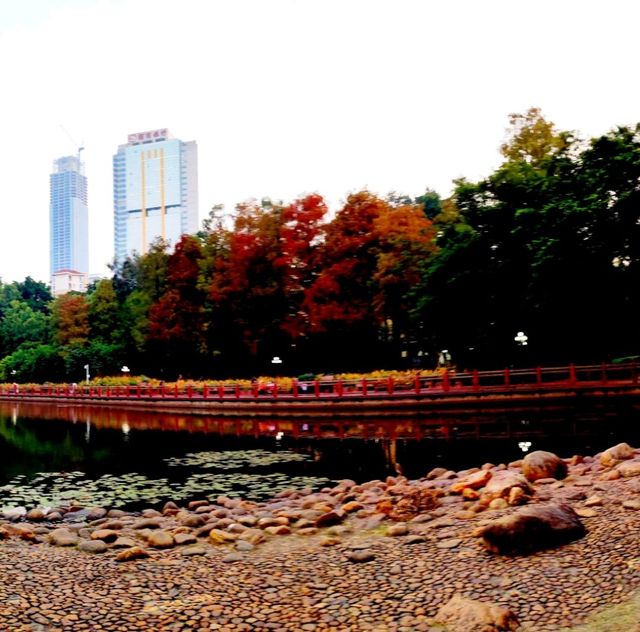 Beautiful Lychee Park in Futian Shenzhen 