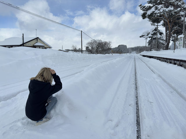 Sapporo to Biei: Guide to capturing the Christmas tree hotspot