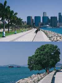 Hong Kong's hidden gem, the West Kowloon Cultural District, is absolutely stunning!