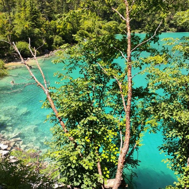 Lakes EVERY shade of blue and turquoise!!