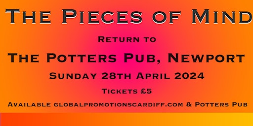 THE PIECES OF MIND | The Potters Newport