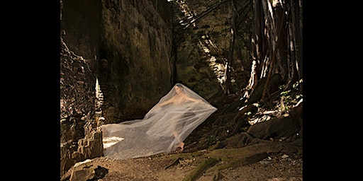 Maureen Fleming : Regenerative Body Architecture | Pumpkin Hollow Arts Center