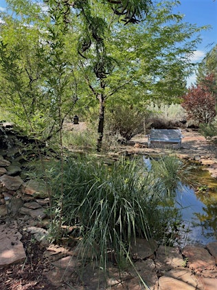 Corrales Garden Tour | Corrales