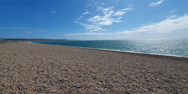 Nature Storytelling at Chesil | Fine Foundation Wild Chesil Centre
