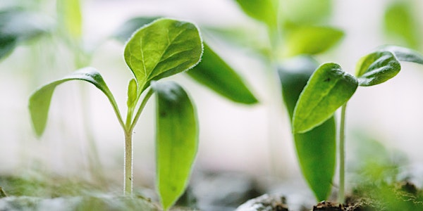 Good to Grow: Grow Your Own workshop - Winter Growing | Oxford City Farm