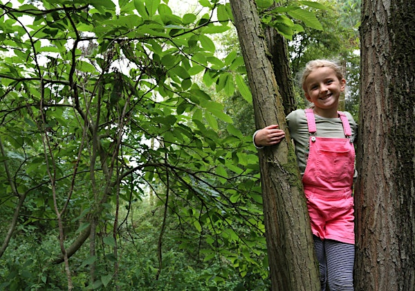 Fingringhoe Code Breakers | Fingringhoe Wick Nature Discovery Park