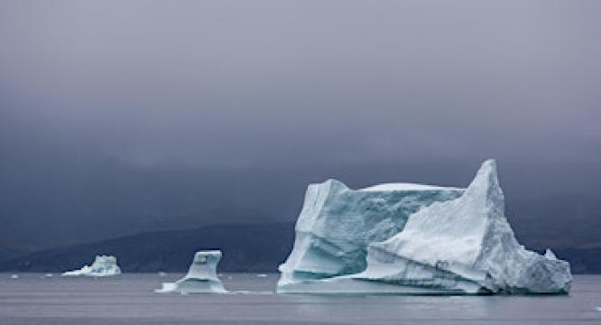 Painting Icebergs - Art in a Disappearing Landscape | Cooperage, a Trinity Historical Society site