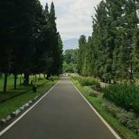 Bogor Botanical Garden