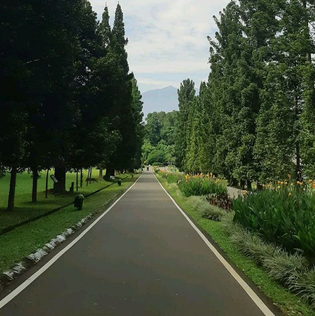 Bogor Botanical Garden