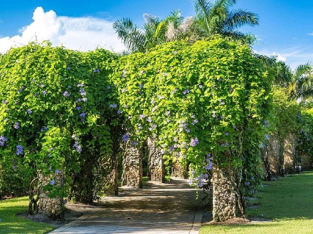 Naples Botanical Garden