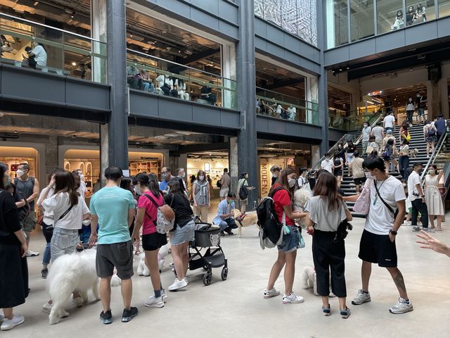 南豐紗廠