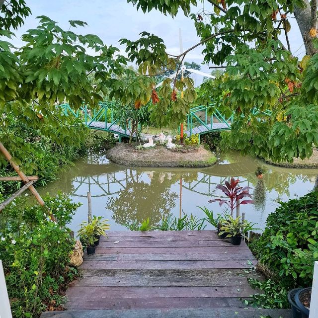 ร้านอาหารสำหรับครอบครัว กิจกรรมเยอะ