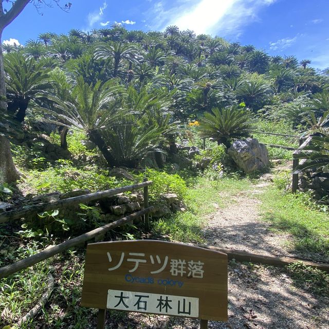 【沖縄･本島】沖縄最北端の自然が創り出すパワースポット