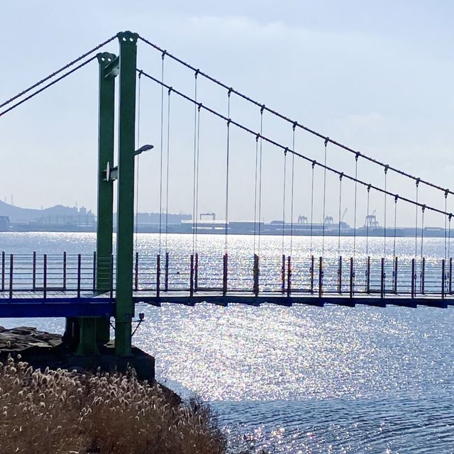 요즘은 산책도 바닷가에서 한다며 ? | 목포 평화광장