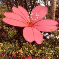 大安森林公園 🌸🌺🌼🌻💐🌷🌹 台北杜鵑花季