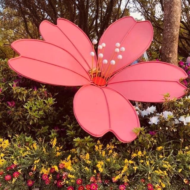 大安森林公園 🌸🌺🌼🌻💐🌷🌹 台北杜鵑花季