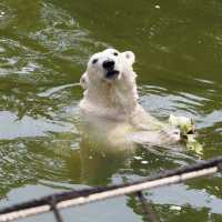 德國最大的動物園之一
