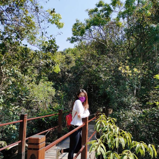 港版嵐山竹林道