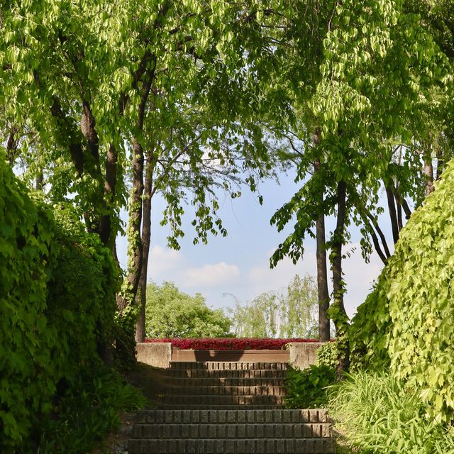 산책하기 좋은 선유도공원🌳