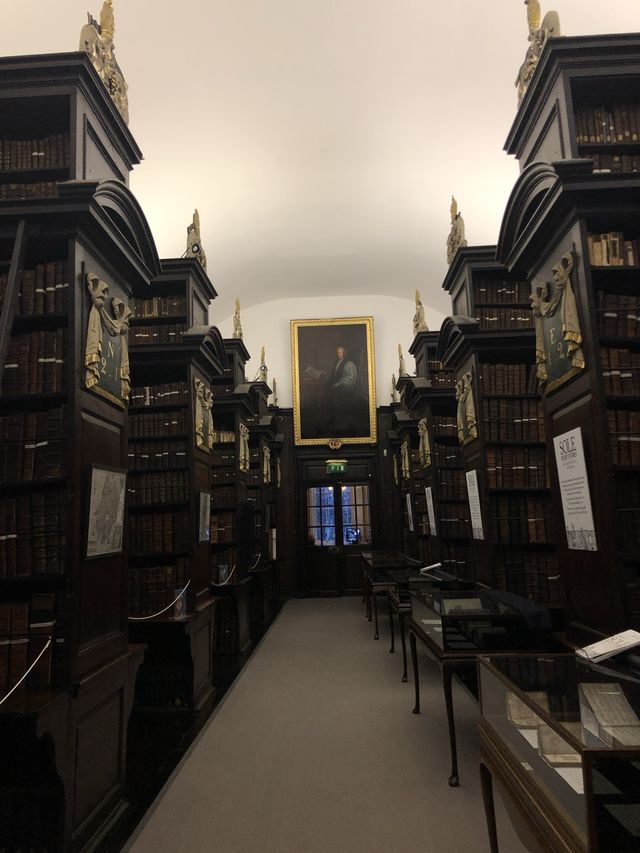 Gorgeous old school library