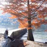 意大利 🚤 Lago Maggiore