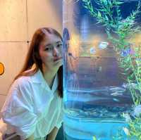 더운 여름 실내 데이트 추천 “코엑스 아쿠아리움”