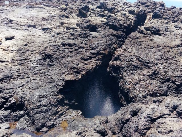🌊호주 울릉공 : 키아마 블로우홀을 만날수 있는 곳🌊