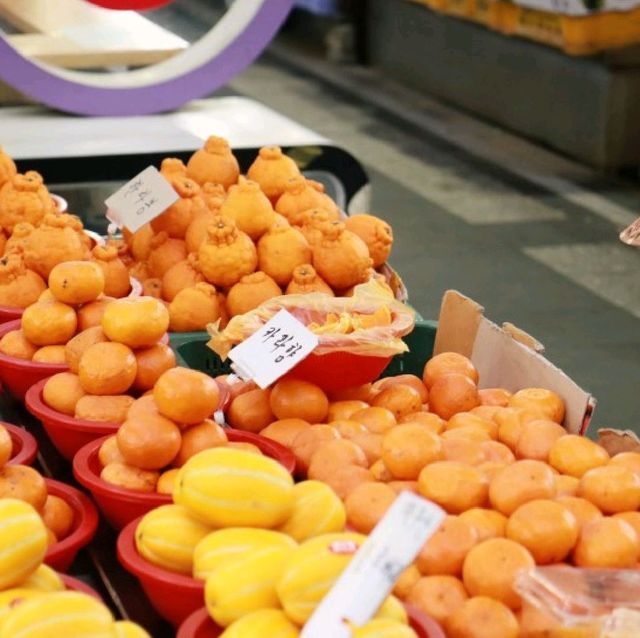 제주도 서귀포 올레시장 먹거리 & 회 맛집