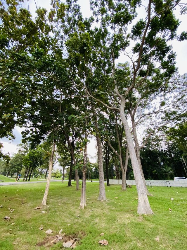 คาเฟ่วิวริมน้ำ 🌿🍃