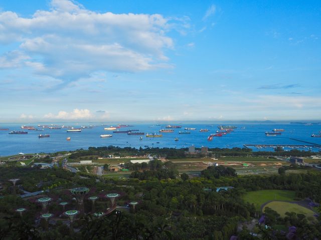 マリーナベイサンズ🇸🇬🦁🌴🐳