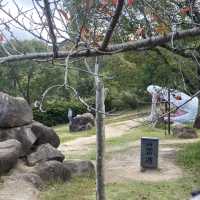 日本動漫主題 淡路島二次元森林