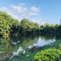 風光明媚🪷🌤Daan Forest Park 大安森林公園