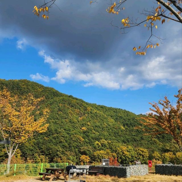황매산 오토캠핑장에서 가을 산책을!