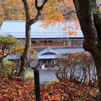 岩手県！お湯と紅葉を求めて大沢温泉へ