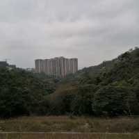 香港千島湖．大欖涌水塘@大欖郊野公園