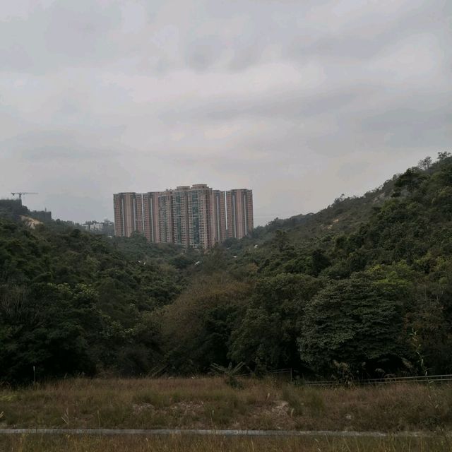 香港千島湖．大欖涌水塘@大欖郊野公園