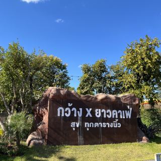 📍กว้าง x ยาวคาเฟ่ 🥰 สุขทุกตารางนิ้ว 💖 อำเถอปากคาด จังหวัดบึงกาฬ 🚙
👉 คาเฟ่ตกแต่งสวย แวดล้อมไปด้วยความร่มรื่นของสวนสีเขียวและ ต้นไม้น้อยใหญ่ พร้อมจำลองน้ำตกไว้ในสวน เหมาะสำหรับใครที่ชอยเสพความสุนทรีย์ ท่ามกลางธรรมชาตื บรรยากาศด้านหน้าคือปังมาก สวนจัดแบบสไตล์ญี่ปุ่น มีมุมถ่ายรูปเยอะ ตอบโจทย์ทั้งสายชิม สายชิล และสายแชะเป็นที่สุด 👍😍