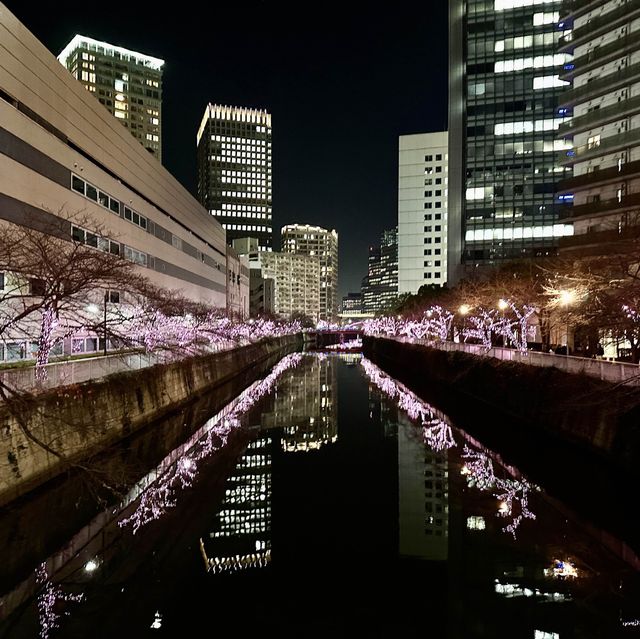 【五反田】目黒川沿いのイルミネーション