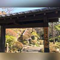 南熱海網代山温泉 竹林庵みずの旅館