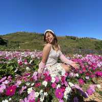 ภูทับเบิก