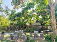 ร้านกาแฟในสวน : Coffee Coffer Cafe’