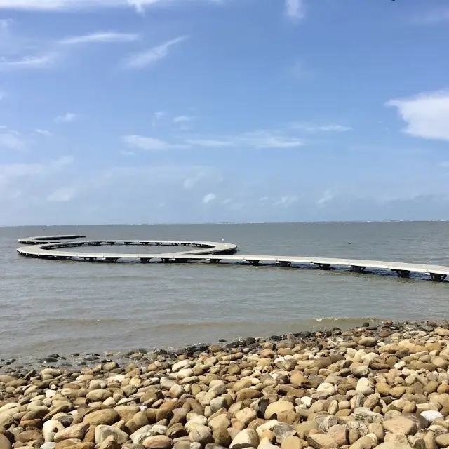 香山溼地賞蟹步道🖌近距離接觸潮間帶生態