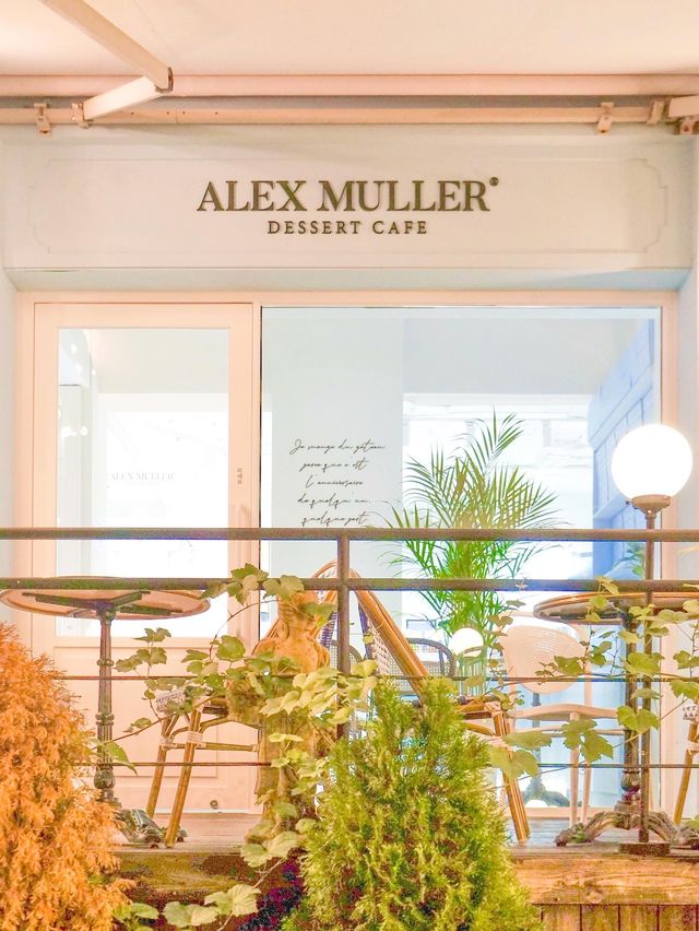 도산공원에서 떠나는 유럽여행, 카페 아뮈제☕️
