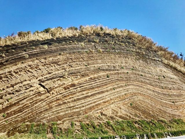 【東京】地層バームクーヘン！伊豆大島の地層切断面