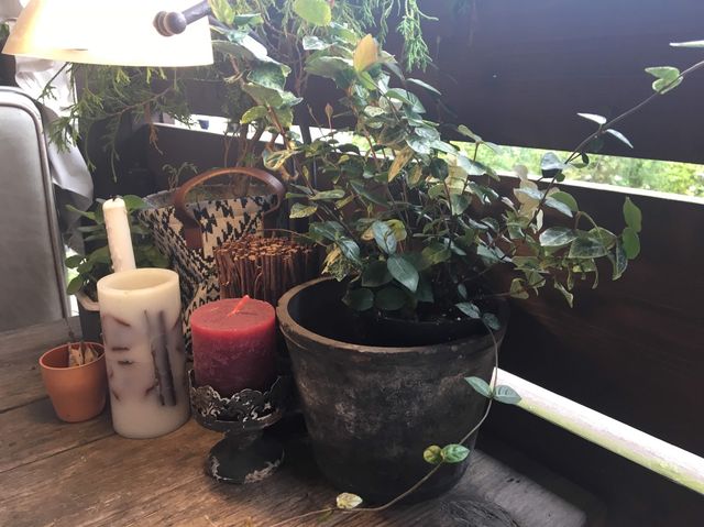 【自然に囲まれたカフェ】軽井沢のRK GARDENでヴィーガン料理を堪能