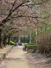 서울 피크닉 장소 추천, 서울숲