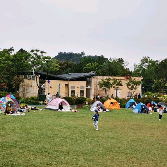 市區大草原佐敦谷公園